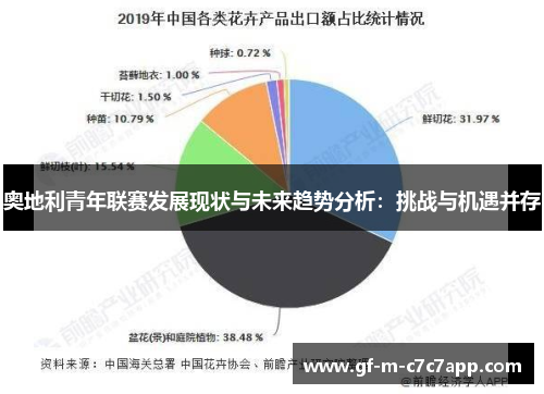 奥地利青年联赛发展现状与未来趋势分析:挑战与机遇并存 奥地利青年联赛发展现状与未来趋势分析:挑战与机遇并存