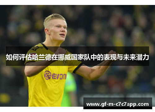 如何评估哈兰德在挪威国家队中的表现与未来潜力