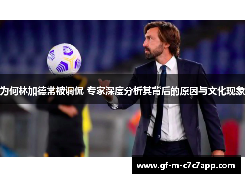 为何林加德常被调侃 专家深度分析其背后的原因与文化现象 为何林加德常被调侃 专家深度分析其背后的原因与文化现象