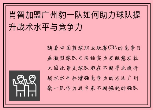 肖智加盟广州豹一队如何助力球队提升战术水平与竞争力
