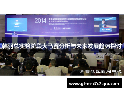 韩羽总实验阶段大马赛分析与未来发展趋势探讨 韩羽总实验阶段大马赛分析与未来发展趋势探讨