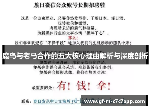 魔鸟与老马合作的五大核心理由解析与深度剖析 魔鸟与老马合作的五大核心理由解析与深度剖析