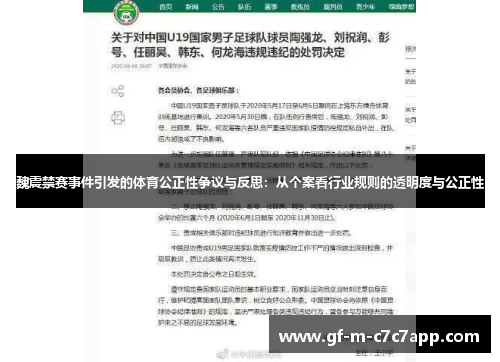 魏震禁赛事件引发的体育公正性争议与反思：从个案看行业规则的透明度与公正性